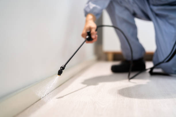 Licensed Pest Control service in Jamesburg, NJ - Show Me Pest Control