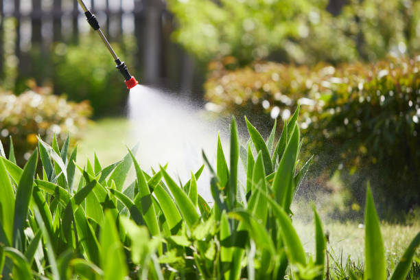 24/7 Emergency Mosquito Control experts in Jamesburg, NJ