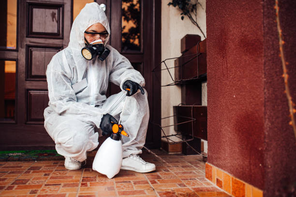 Reliable Mosquito Control contractor in Jamesburg, NJ by Show Me Pest Control