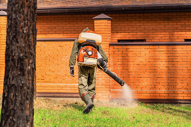 Top rated local Mosquito Control specialists in Jamesburg, NJ